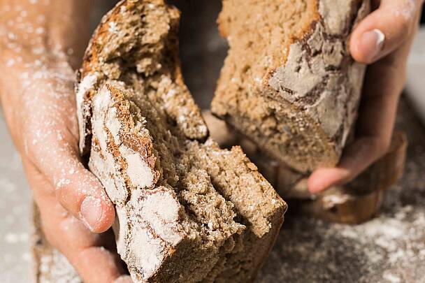 Brot  