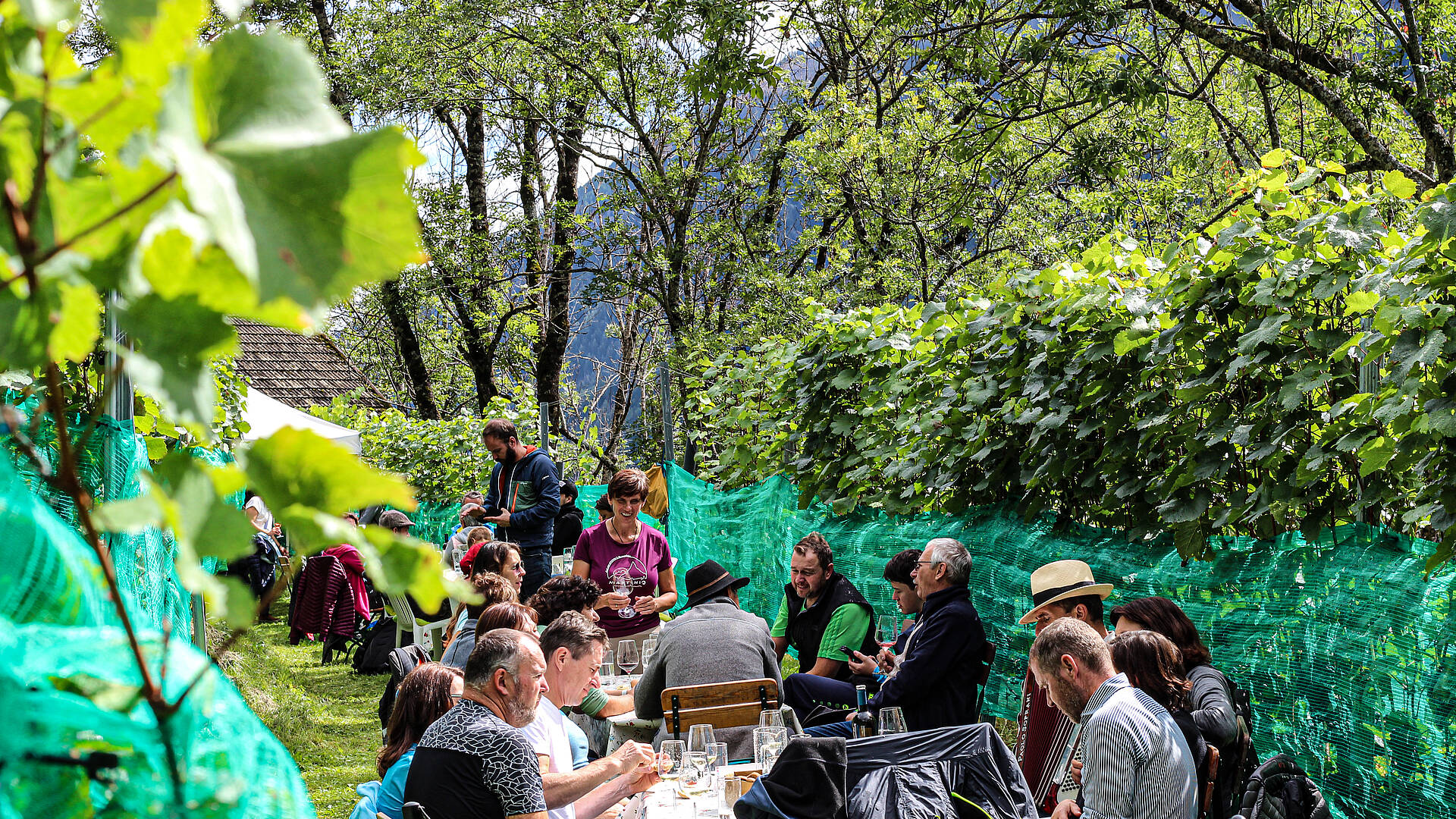 Gemütliches Zusammensitzen im Weingarten Slow Food Village Obervellach  